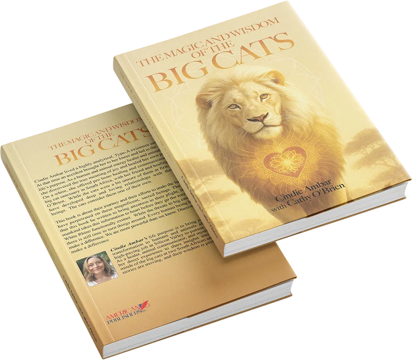 American Publishers Inc